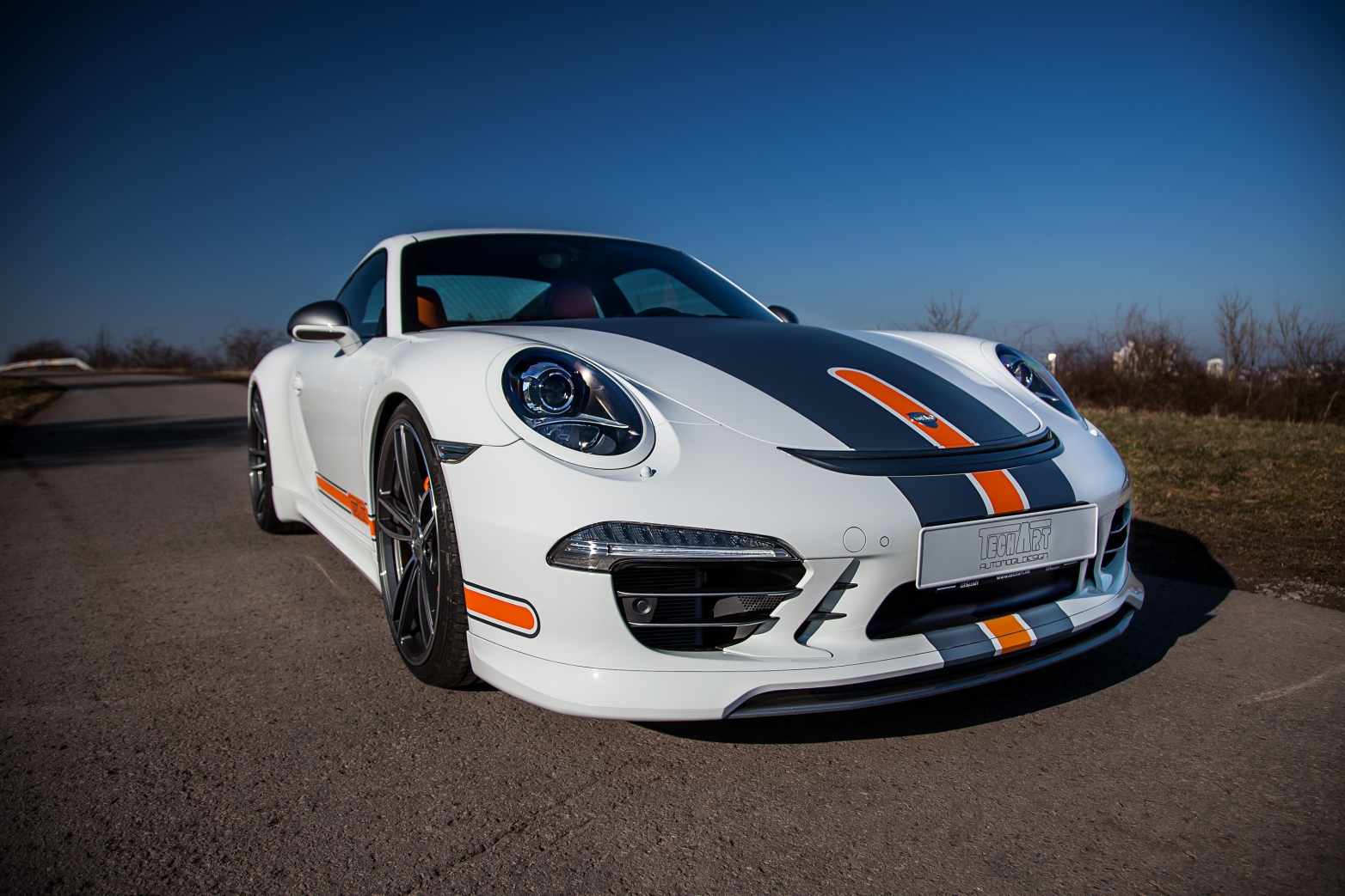 TECHART_091_ext_0_29-large-34--v.jpg
